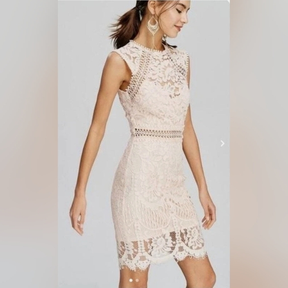 Main Strip Sleeveless Crochet Lace Knee Length Dress Cream Nude Womens - Picture 14 of 16